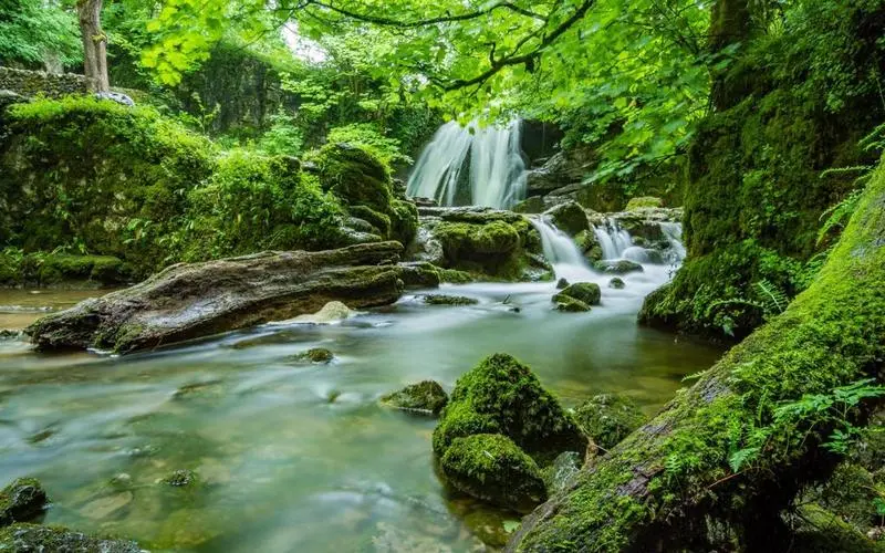 高性能高性能